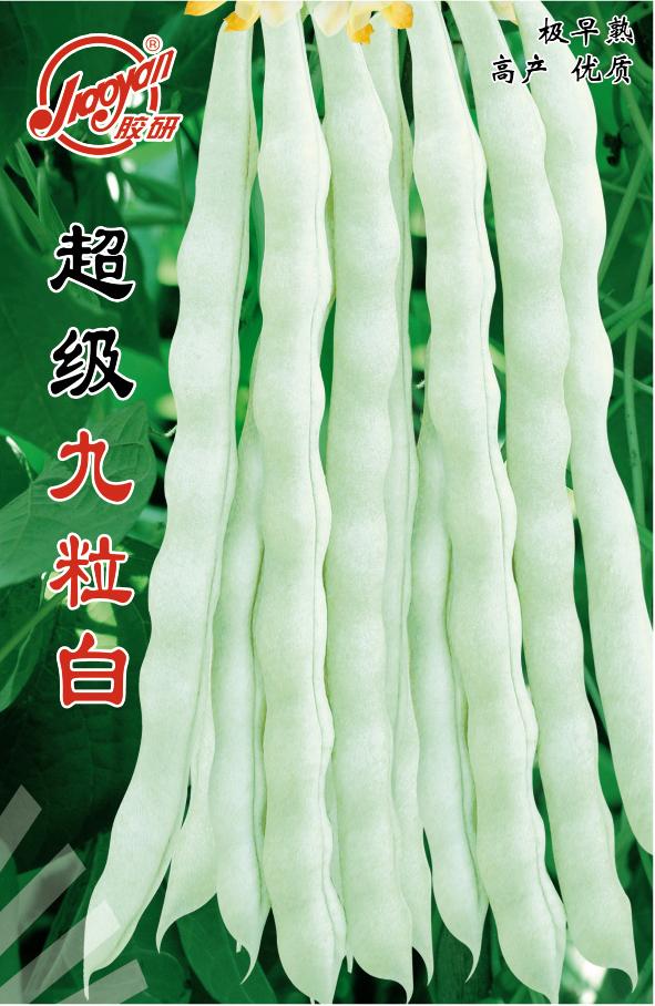  Super Jiulibai—— Beans